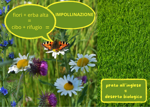 Scopri lo “sfalcio ridotto".