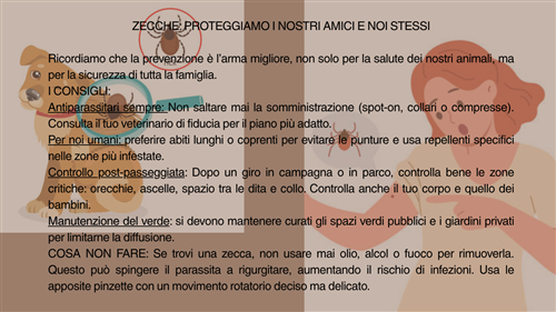 Sopralluogo verifica presenza di zecche nel parco della Pisana.

Zecche: come proteggerci.
